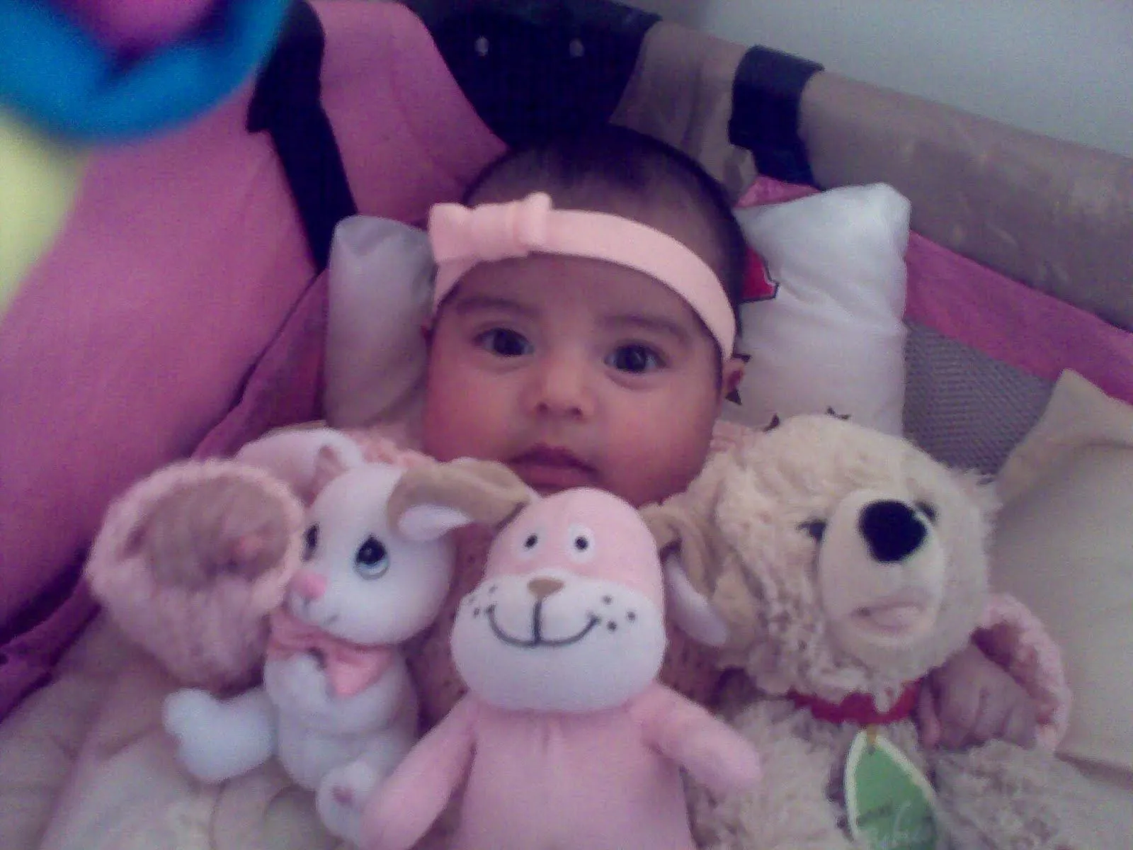 Linda Bebita - Bilder, News, Infos aus dem Web