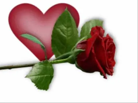 linda flor grupo jujuy.wmv - YouTube