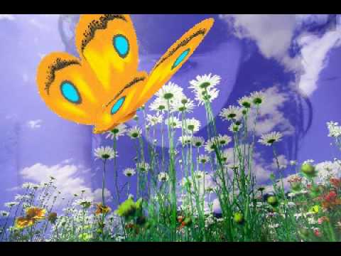 LINDA MARIPOSA - YouTube