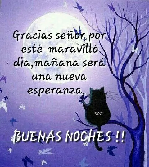 Que tengas una linda noche bendecida hasta mañana primero Dios ...