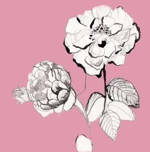 Las Lindas Flores: Producción Revista mujer detalle de Arreglos de ... Las Lindas Flores: Producción Revista mujer detalle de Arreglos de ...