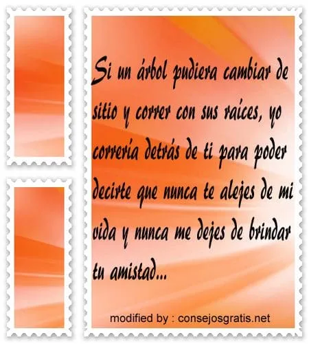 Lindas frases de amistad inolvidables con imágenes | 10.000 ...