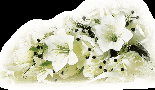 Lindas Gifs e Imagens: Lindas Flores em PNG e HD Lindas Gifs e Imagens: Lindas Flores em PNG e HD