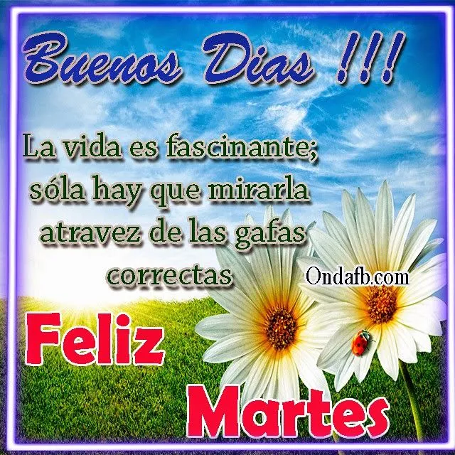 Lindas imagenes de flores con frases de buenos dias y feliz martes ... Lindas imagenes de flores con frases de buenos dias y feliz martes ...