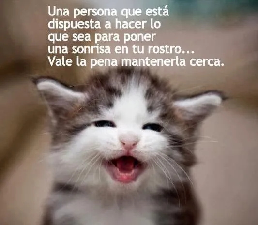 Lindas y tiernas imagenes amor de animales | Descargar Imagenes ...