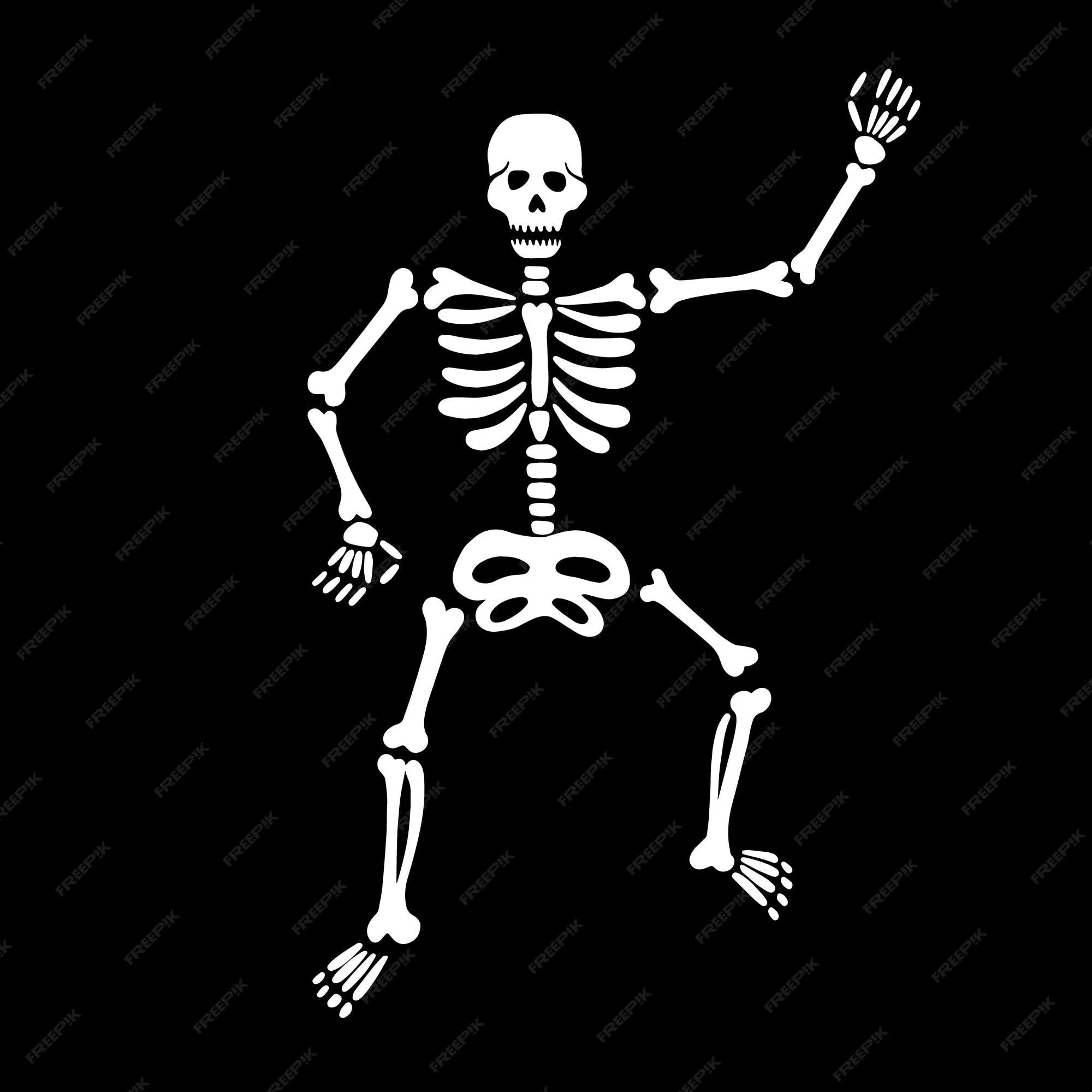 Lindo esqueleto bailando sobre un fondo negro | Vector Premium Lindo esqueleto bailando sobre un fondo negro | Vector Premium