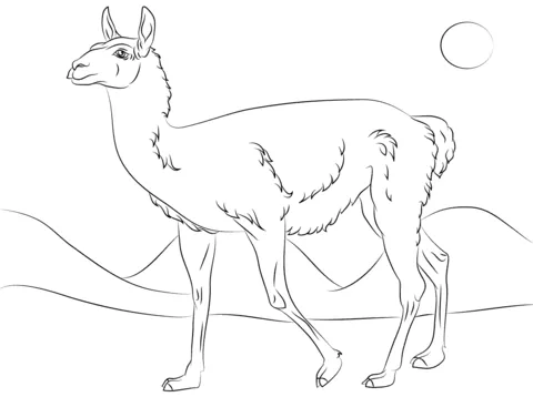 Dibujo de Lindo Guanaco para colorear | Dibujos para colorear ... Dibujo de Lindo Guanaco para colorear | Dibujos para colorear ...
