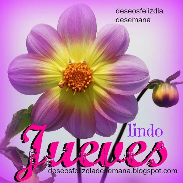 Que tengas un Lindo Jueves con estos Buenos Deseos | Deseos Feliz ... Que tengas un Lindo Jueves con estos Buenos Deseos | Deseos Feliz ...