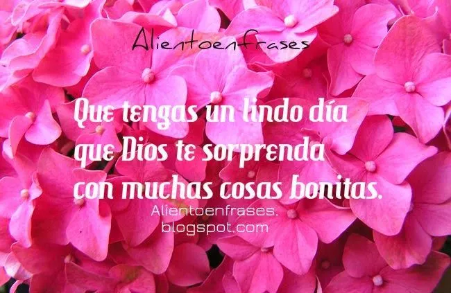 Que tengas un Lindo Día lleno de sorpresas, de dicha y alegría ... Que tengas un Lindo Día lleno de sorpresas, de dicha y alegría ...