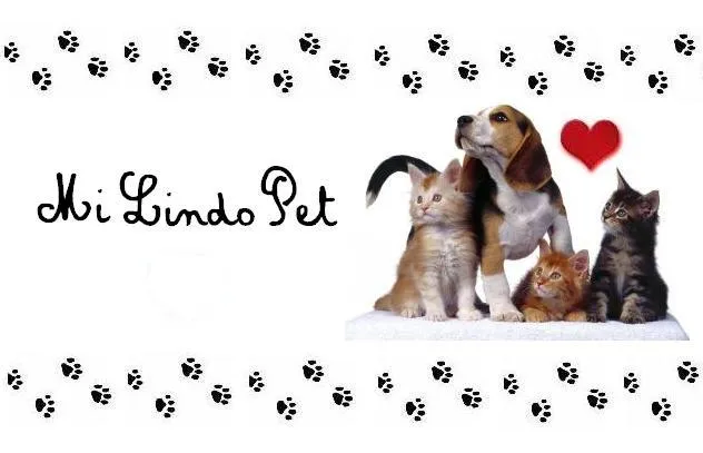 Mi Lindo Pet ♥: Razas de Perros Gigantes