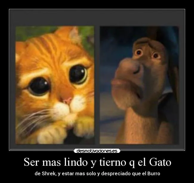 Ser mas lindo y tierno q el Gato | Desmotivaciones