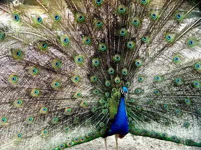 On Time 2.0: LINDOS FONDOS DE PANTALLA On Time 2.0: LINDOS FONDOS DE PANTALLA