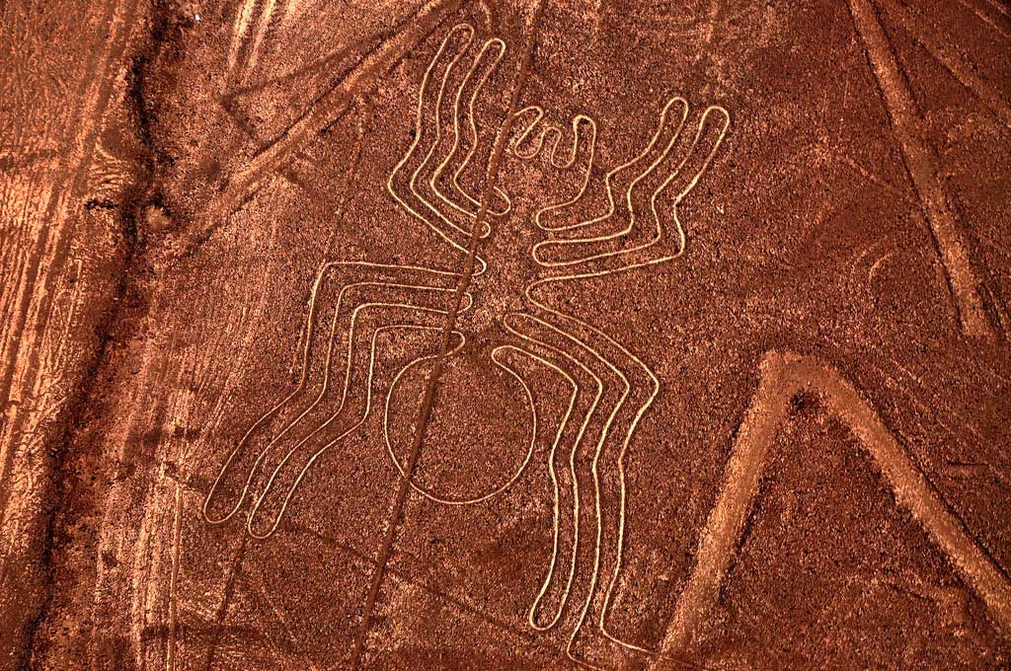 Qué son las líneas de Nazca? Historia, curiosidades y leyendas | Computer  Hoy