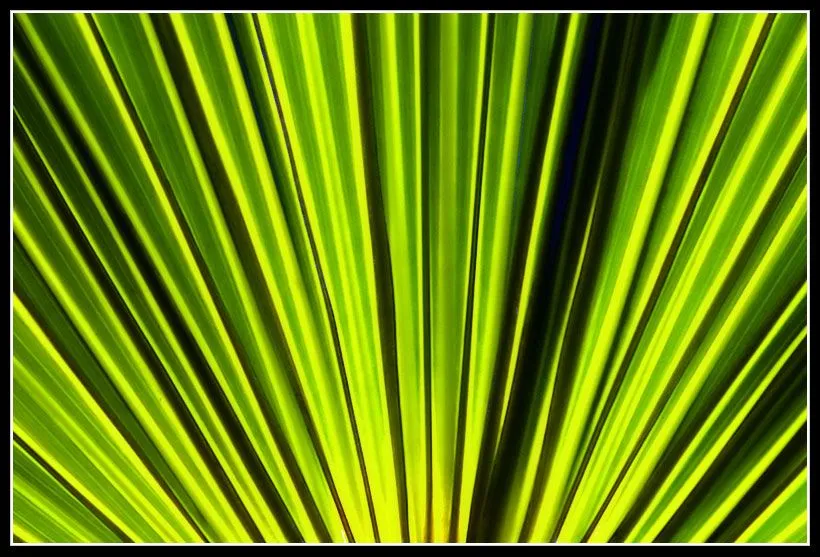 Líneas Rectas | jggWeb: Fotografía por Juan García- Líneas Rectas | jggWeb: Fotografía por Juan García-