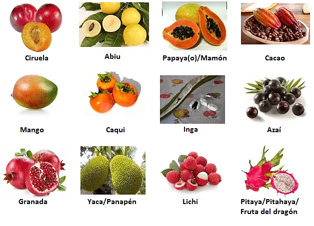 Línguas e Sotaques - Raí José | Frutas ES