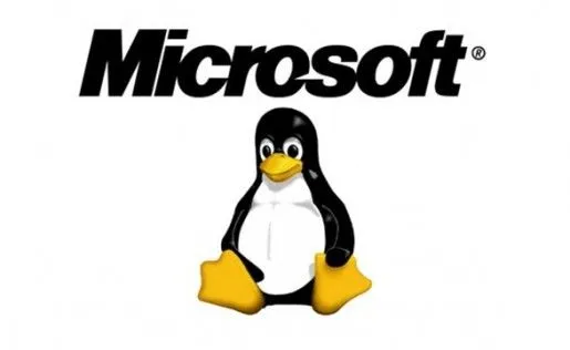 Linux, Mac o Windows? - Identi