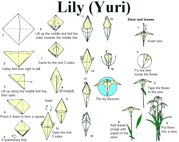 Lirio origami - Imagui