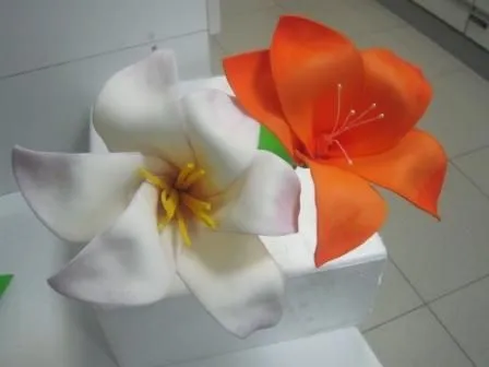 El baul de Brujaleo: mayo 2011