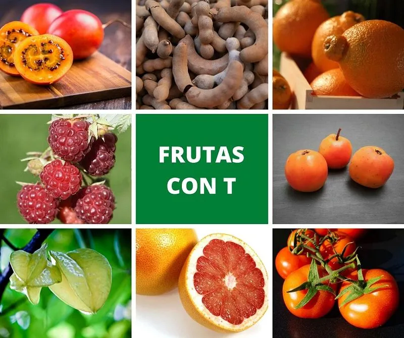 Lista de 12 frutas y verduras que comienzan por la T Lista de 12 frutas y verduras que comienzan por la T