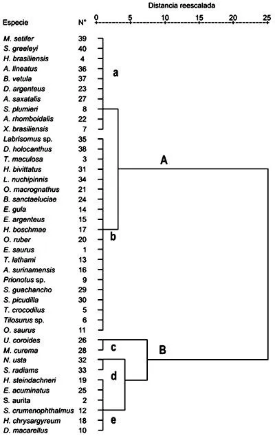Investigaciones marinas - Trophic structure and categories of fish ... Investigaciones marinas - Trophic structure and categories of fish ...