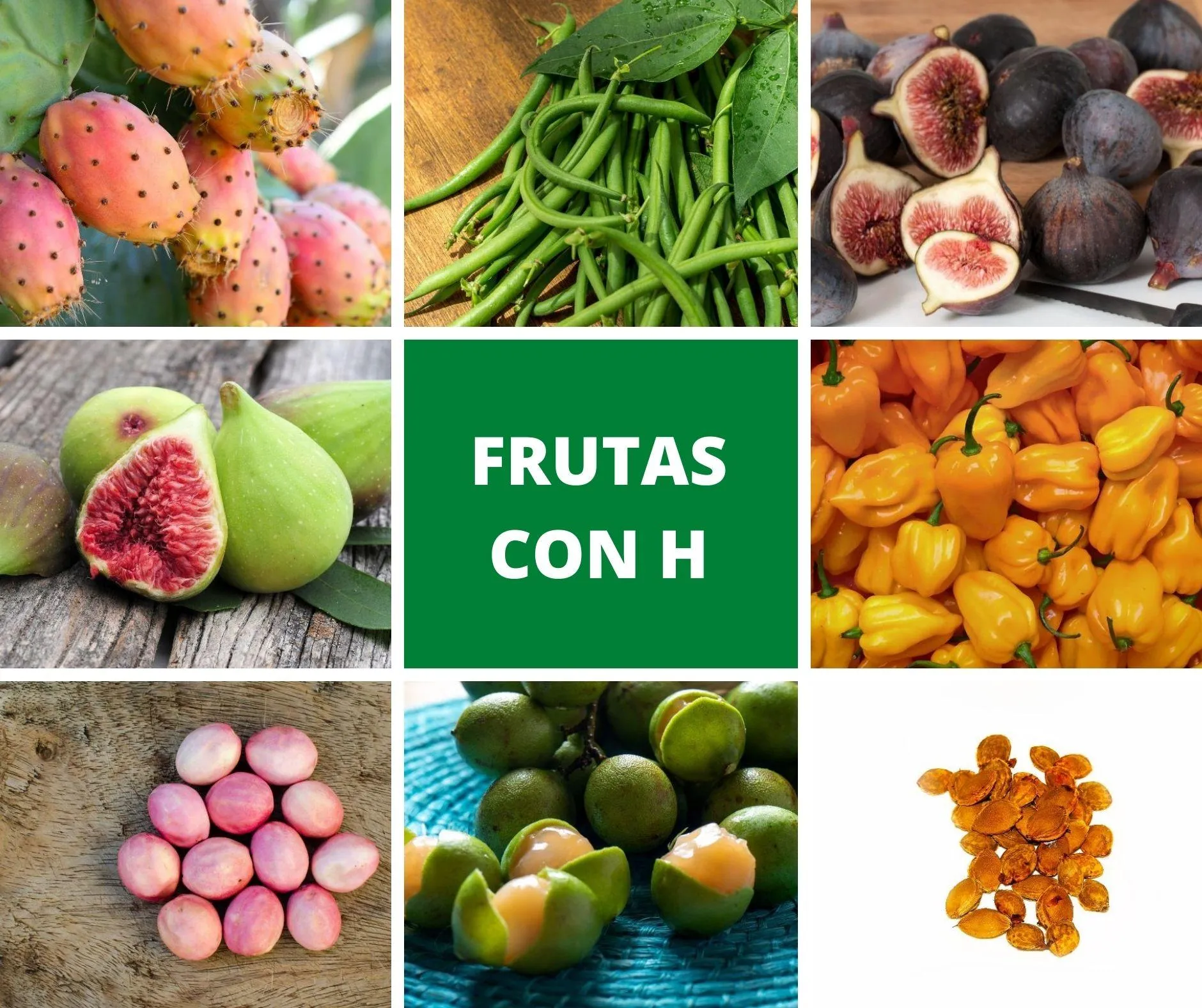 Lista de frutas que empiezan con H