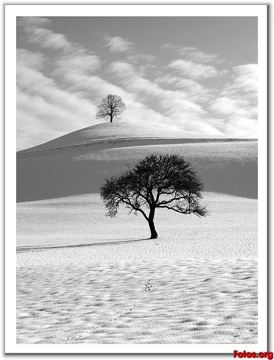 Literatura, Cultura y Política: En blanco y negro. White and black Literatura, Cultura y Política: En blanco y negro. White and black