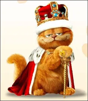 Livro do Gatinho: O Gato Persa