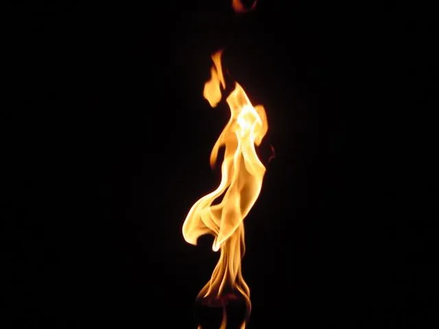 llama-fuego.jpg