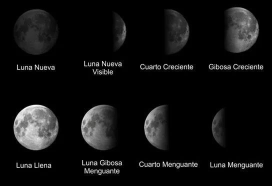 Como se llaman las fases de la luna | Como se llama Como se llaman las fases de la luna | Como se llama