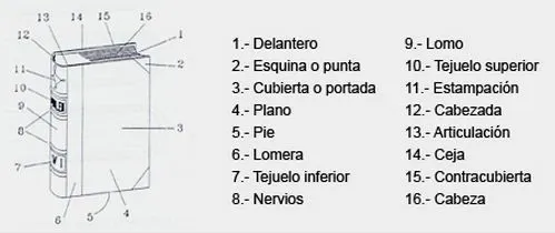 Como se llaman las partes de un libro | Como se llama Como se llaman las partes de un libro | Como se llama