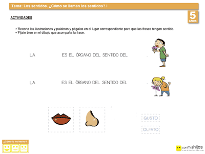Cómo se llaman los sentidos. Ejercicios del cuerpo humano Cómo se llaman los sentidos. Ejercicios del cuerpo humano