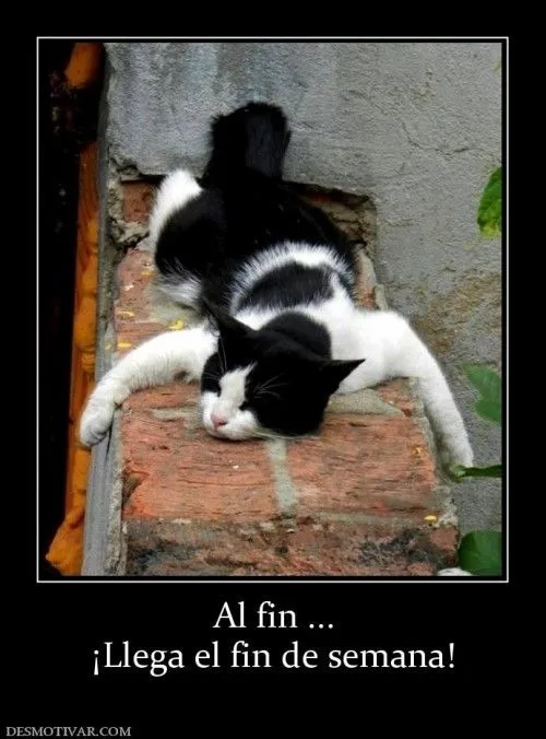 Al fin llega el fin de semana | FELIZ FiN DE SEMAN./FELIZ INICIO ... Al fin llega el fin de semana | FELIZ FiN DE SEMAN./FELIZ INICIO ...