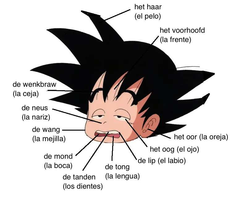 Cómo llegar a Holanda y no perderse por el camino: Aprendiendo ... Cómo llegar a Holanda y no perderse por el camino: Aprendiendo ...