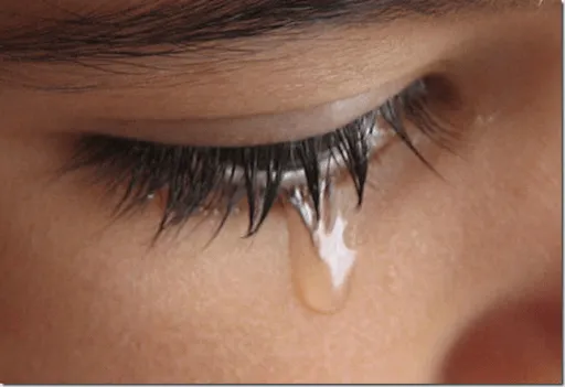 Por qué lloras? ~ El Rincón de la Ciencia y la Tecnología