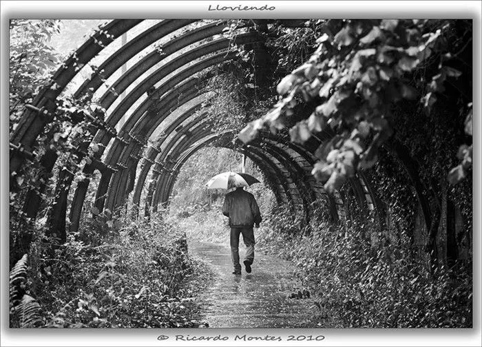 Lloviendo...