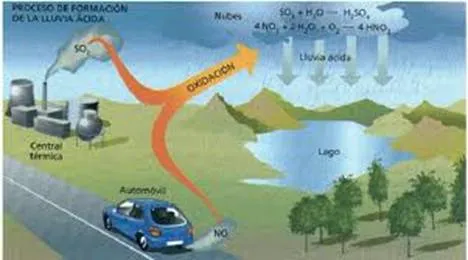 La lluvia ácida (informe de experimento) - Monografias.com La lluvia ácida (informe de experimento) - Monografias.com