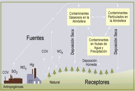 La lluvia ácida (informe de experimento) - Monografias.com La lluvia ácida (informe de experimento) - Monografias.com