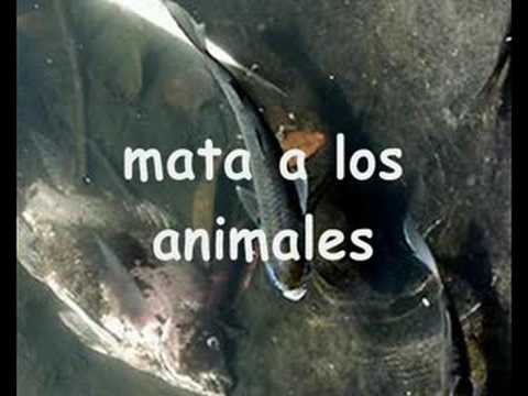 lluvia acida - YouTube