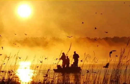 lluvia artificial: fotos premiadas