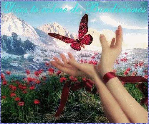 LLUVIA DE BENDICIONES - Reflexiones e Inspiraciones Cristianas LLUVIA DE BENDICIONES - Reflexiones e Inspiraciones Cristianas