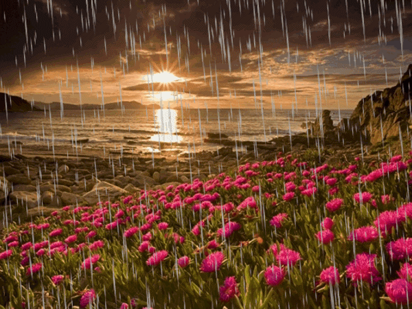 Lluvia | Fotos de naturaleza, animales, paisajes, animadas, y ... Lluvia | Fotos de naturaleza, animales, paisajes, animadas, y ...