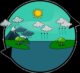 LLUVIA DE IDEAS: EL CICLO DEL AGUA