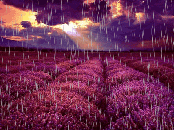 Lluvia. Con movimiento cliqueá en la imagen. | movimiento ... Lluvia. Con movimiento cliqueá en la imagen. | movimiento ...