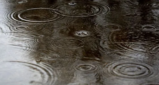 Lluvias extrañas | Actualidad | EL PAÍS