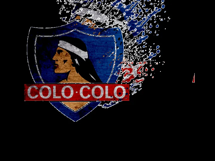 LNEI design: Colo-Colo 2012