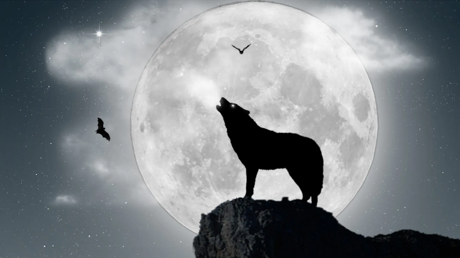Lobo aullando a la luna llena - 1920x1080 :: Fondos de pantalla y ... Lobo aullando a la luna llena - 1920x1080 :: Fondos de pantalla y ...