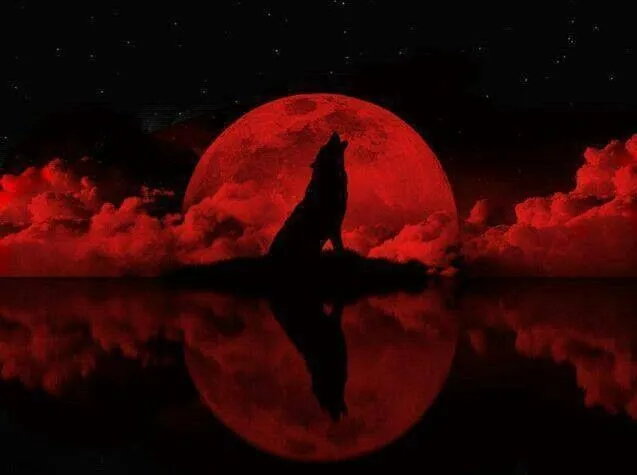 Lobo aullando / luna roja | lobos | Pinterest Lobo aullando / luna roja | lobos | Pinterest