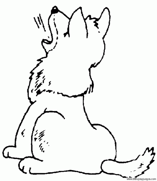 Lobo bebé dibujo - Imagui