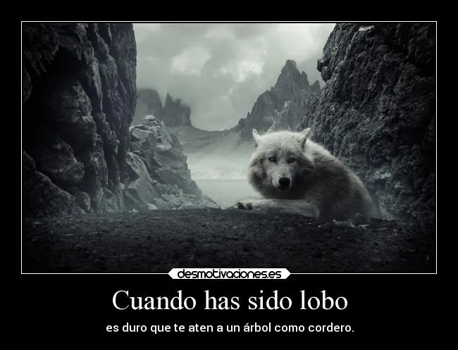Cuando has sido lobo | Desmotivaciones