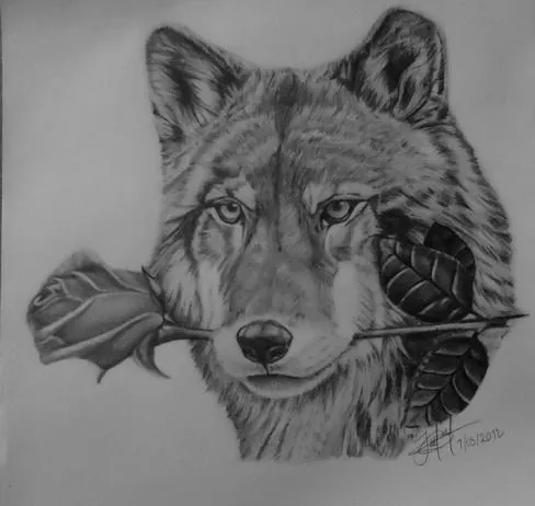lobo dibujos a lapiz - Buscar con Google | para dibujar ... lobo dibujos a lapiz - Buscar con Google | para dibujar ...